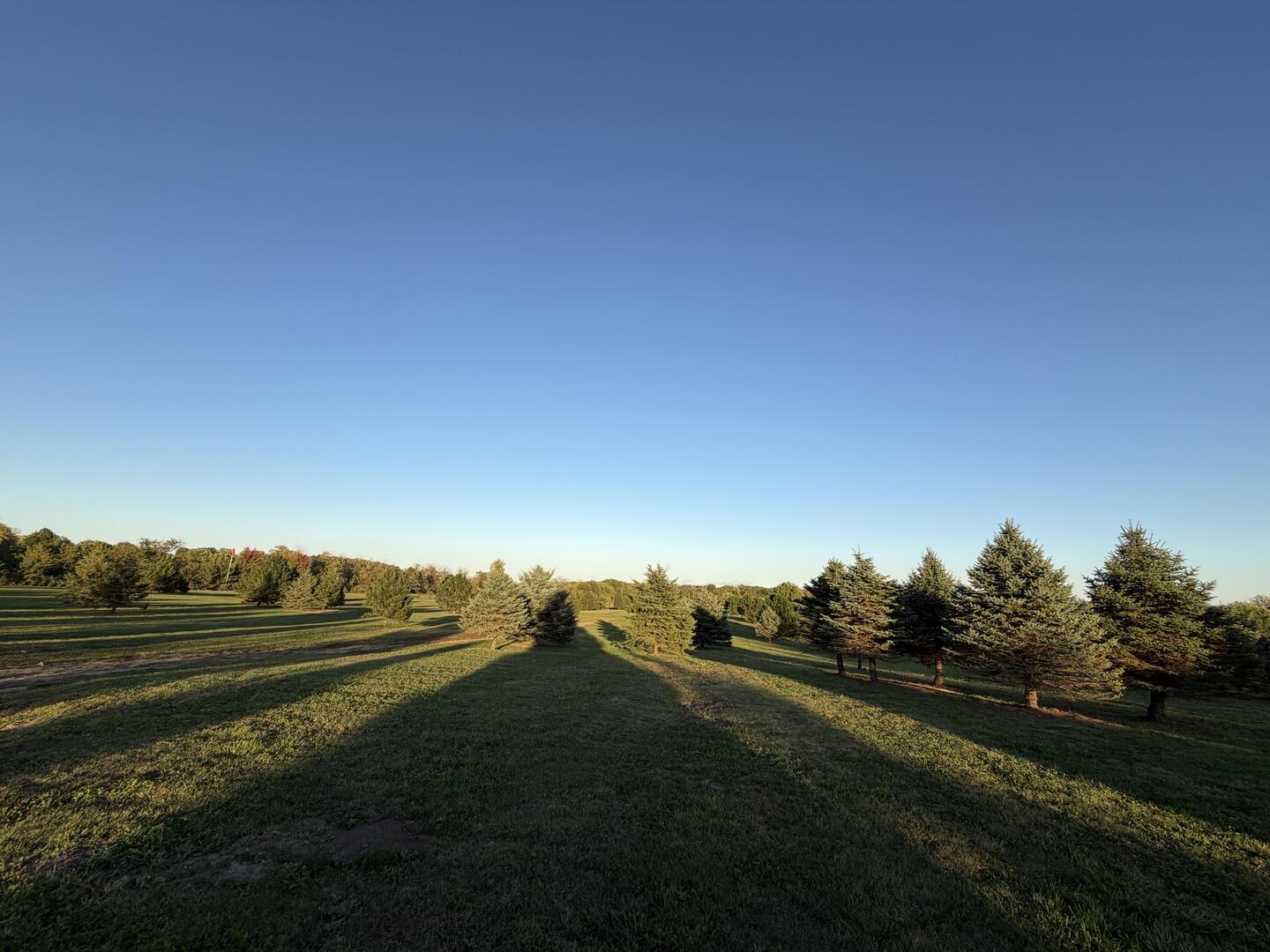 3617 Millstream Road Property Photo 20