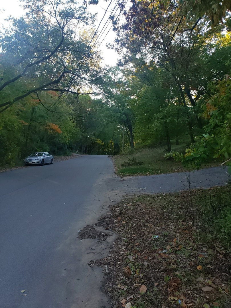 7411 Ash Avenue Property Photo 11