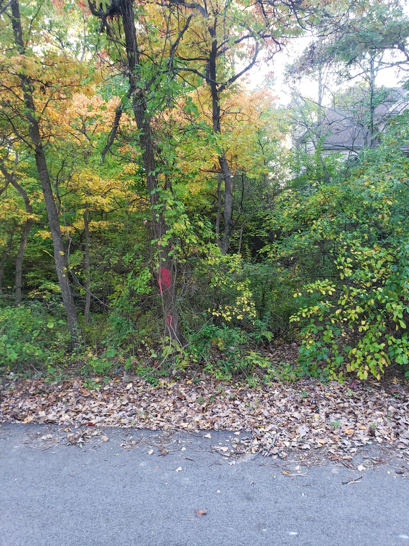 7411 Ash Avenue Property Photo 13