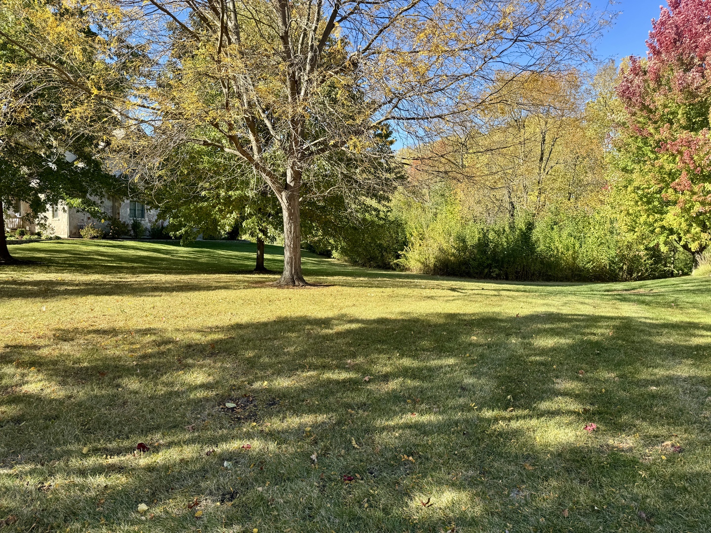 25028 Old Oak Lane Property Photo 8