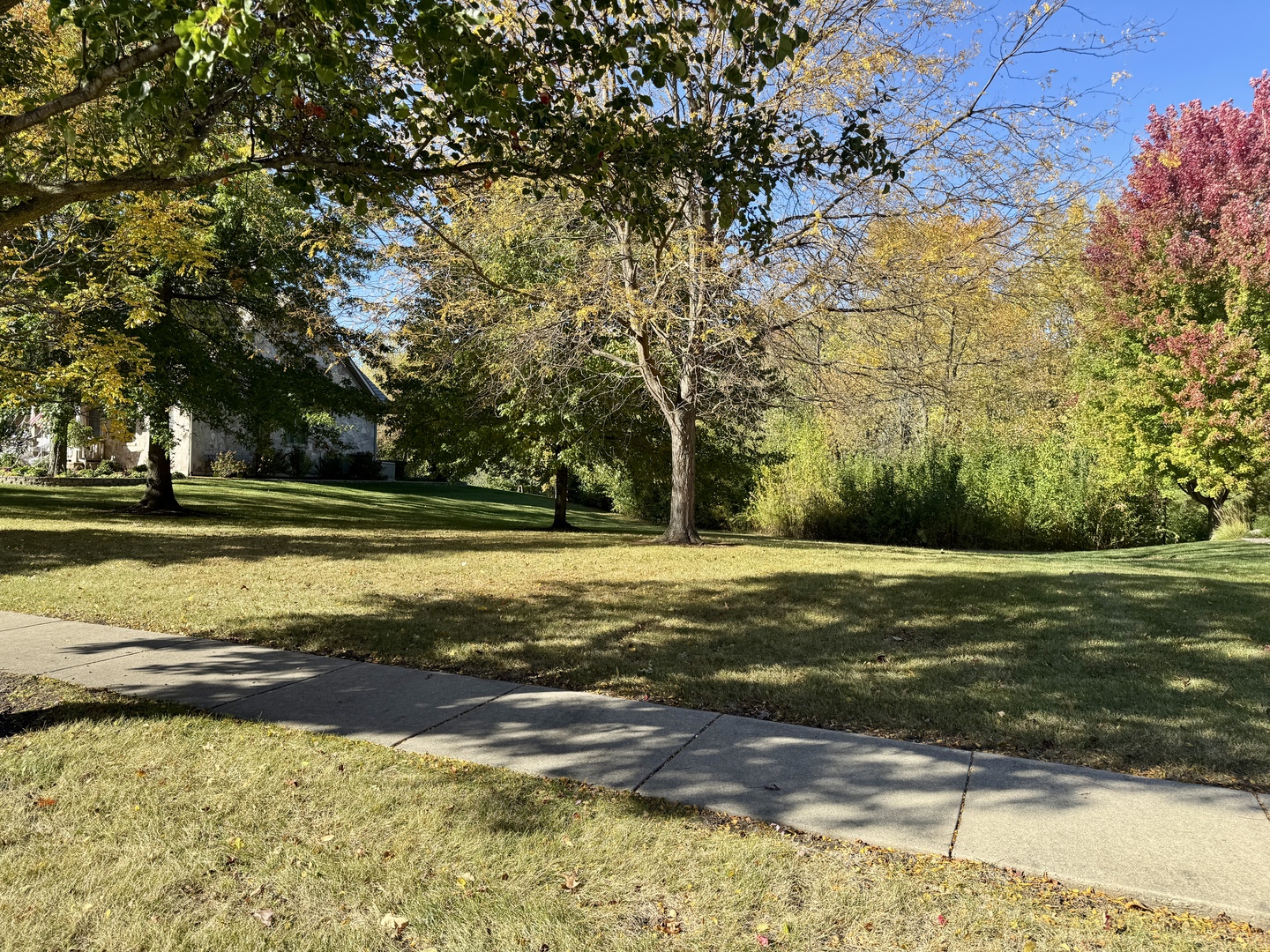 25028 Old Oak Lane Property Photo 9