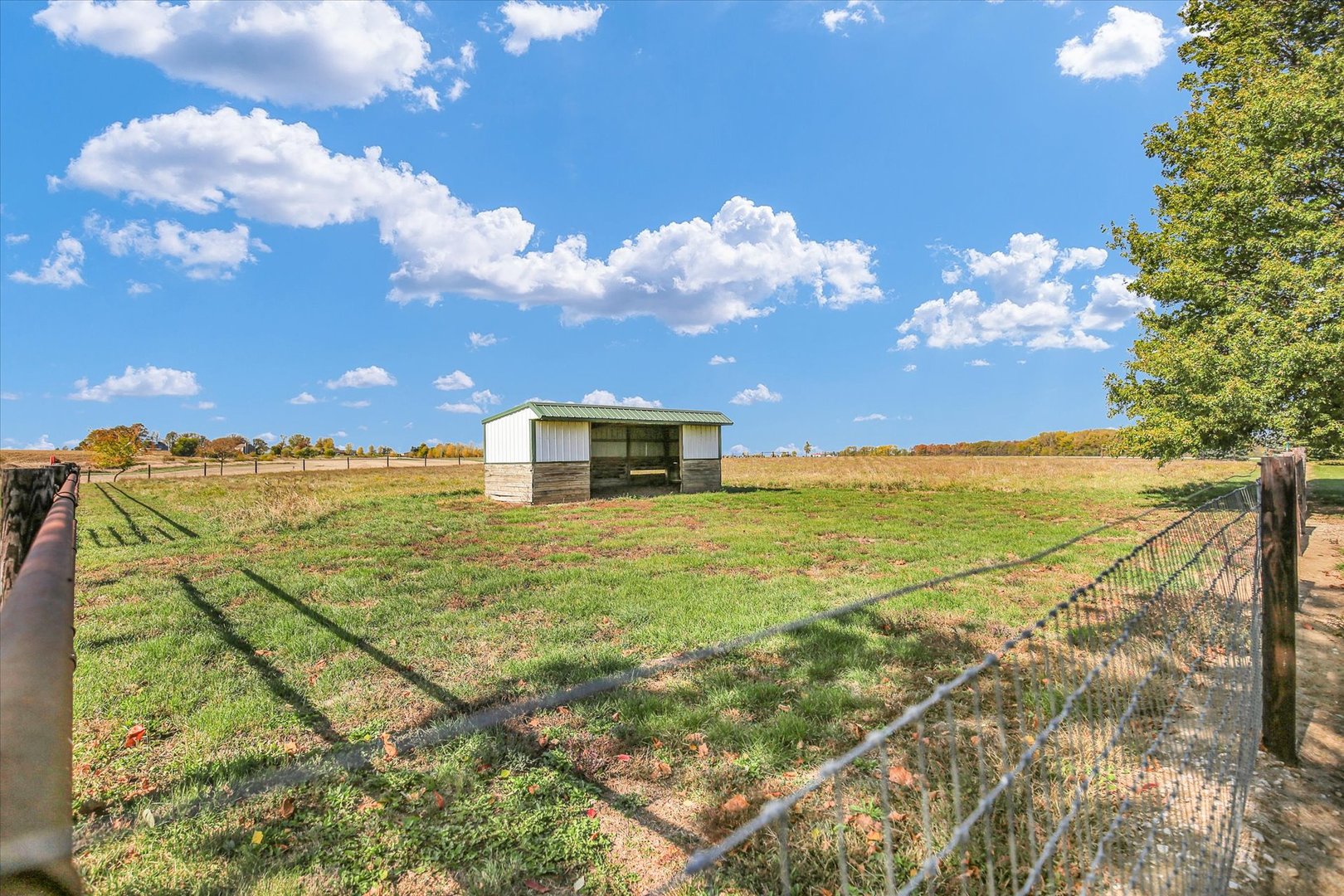 561 County Road 700 Property Photo 43