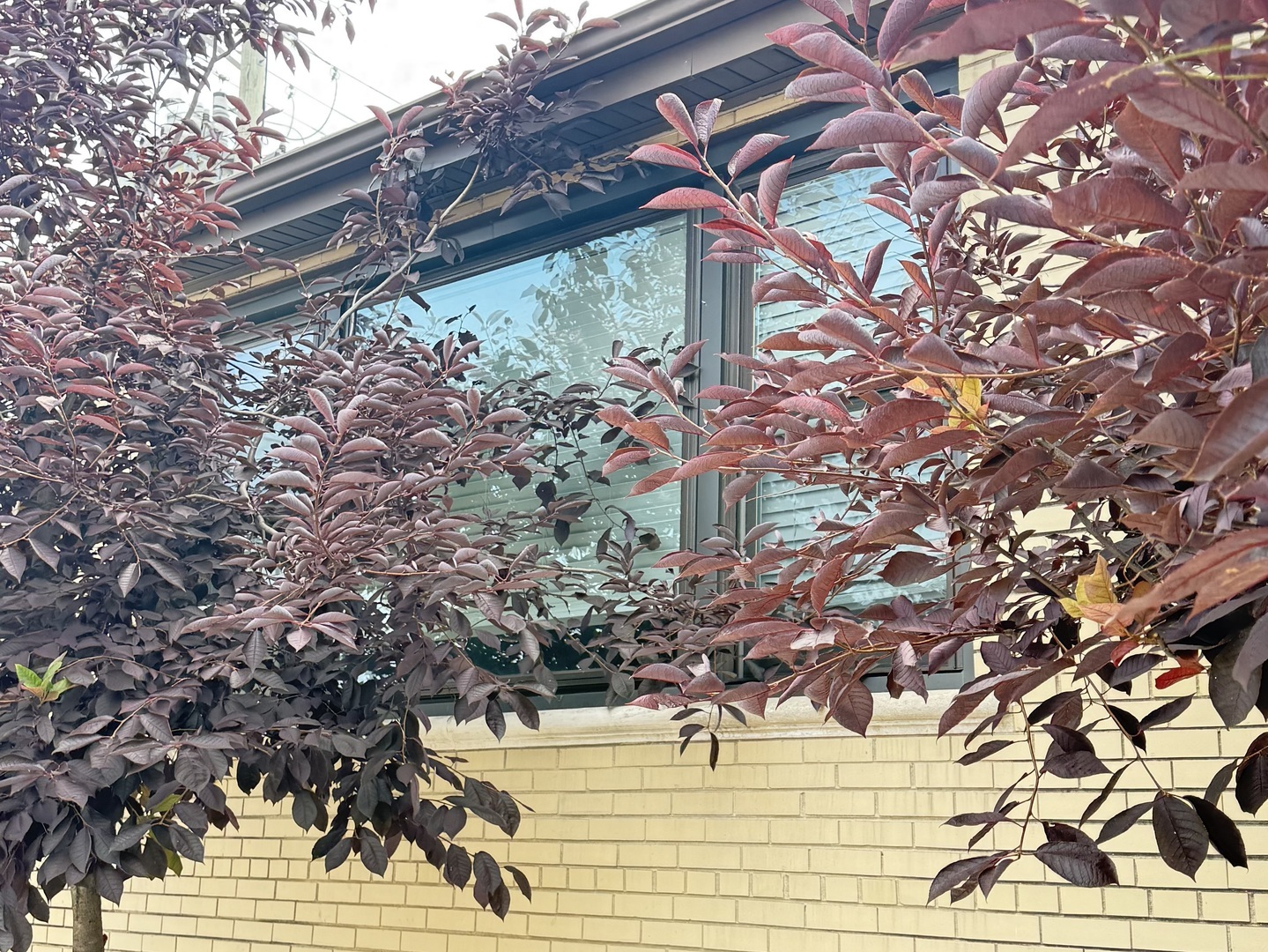 4201 W 55th Street 1 Property Photo 1