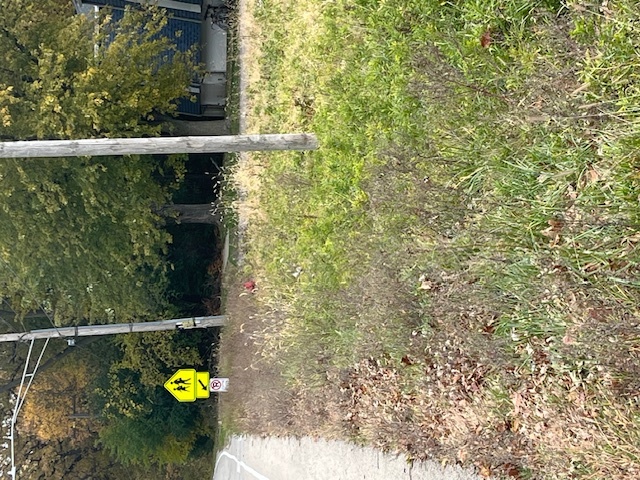 Lot 1 Reckinger Road Property Photo 3