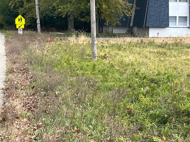 Lot 1 Reckinger Road Property Photo 4