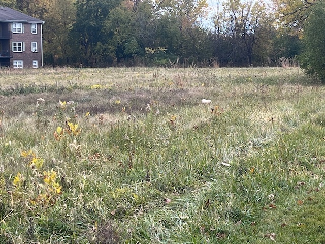 Lot 1 Reckinger Road Property Photo 6