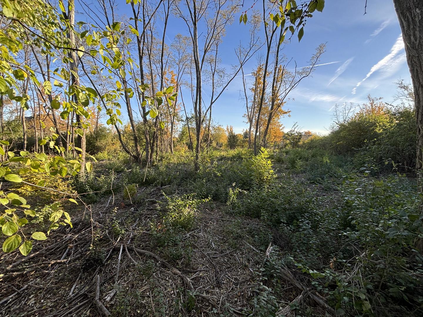 21647 Owens Road Property Photo 2
