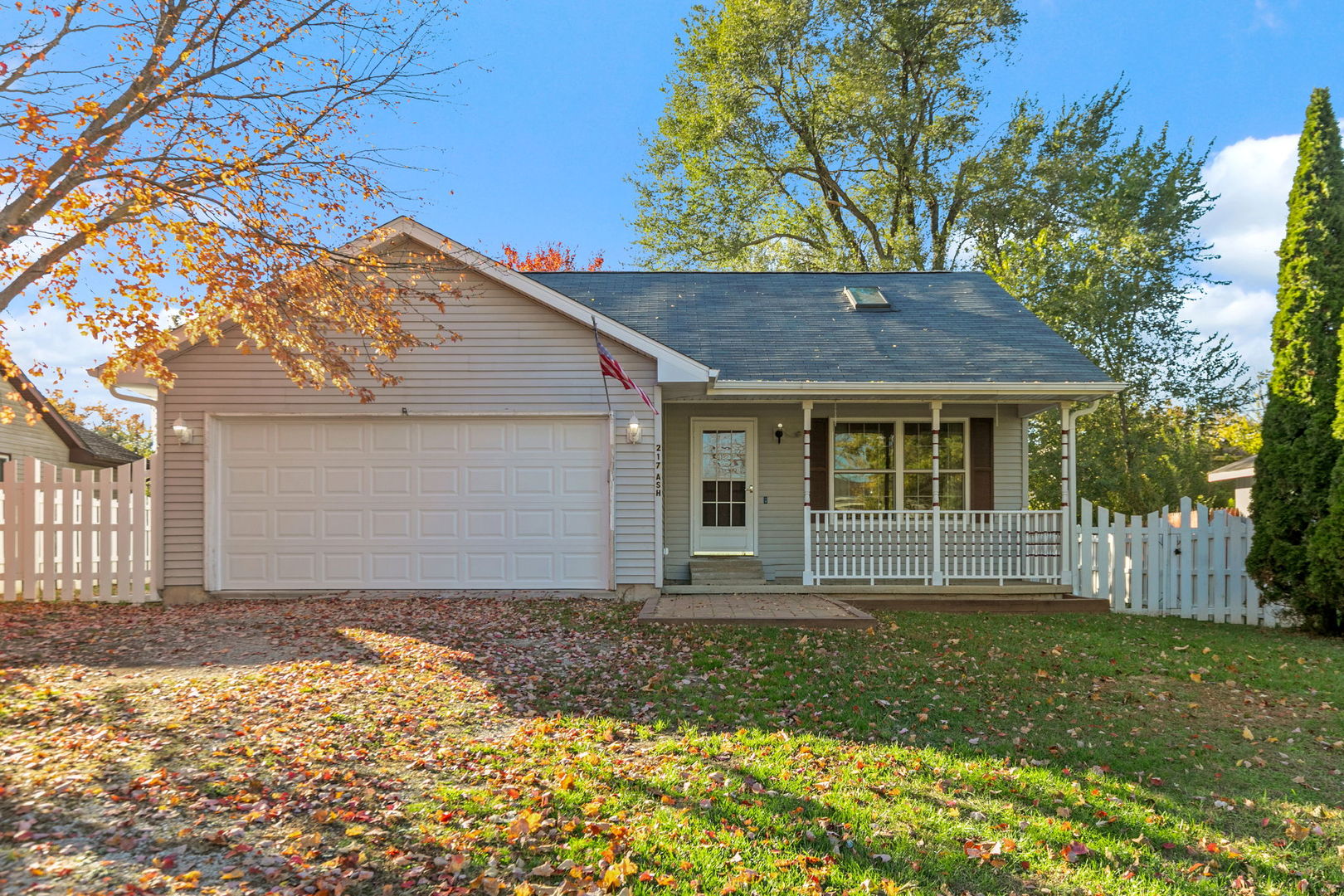 217 Ash Avenue Property Photo 1