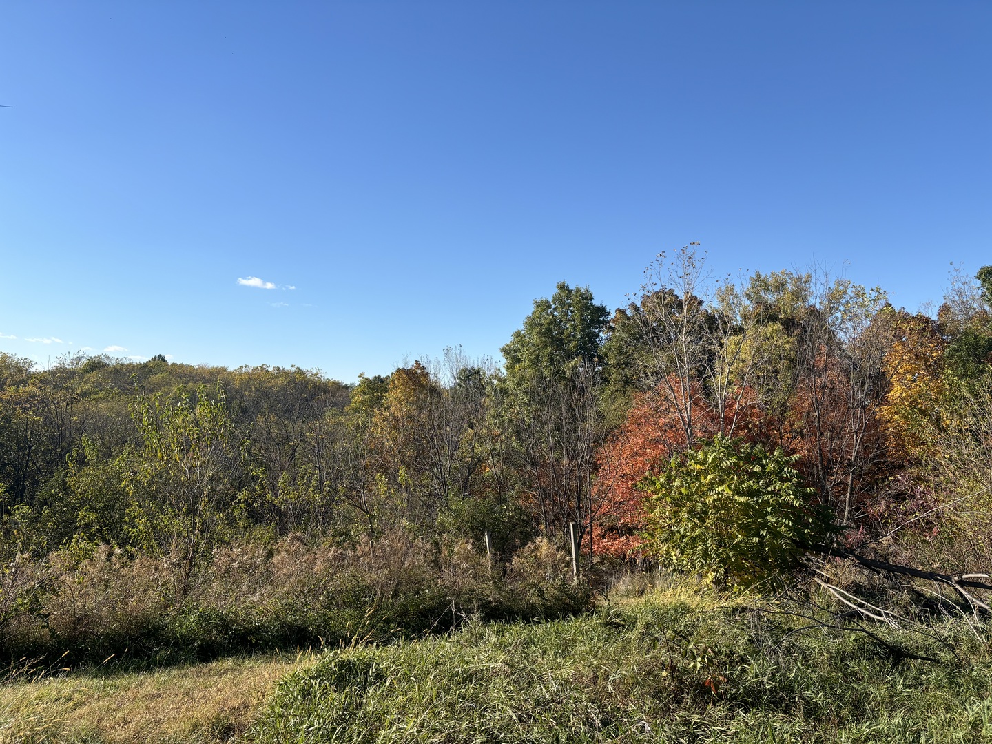 2110 60th Street Property Photo 2