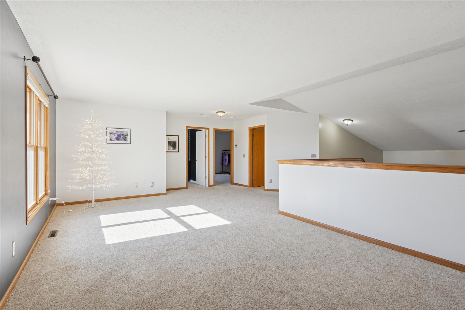 1311 Conlin Court Property Photo 26