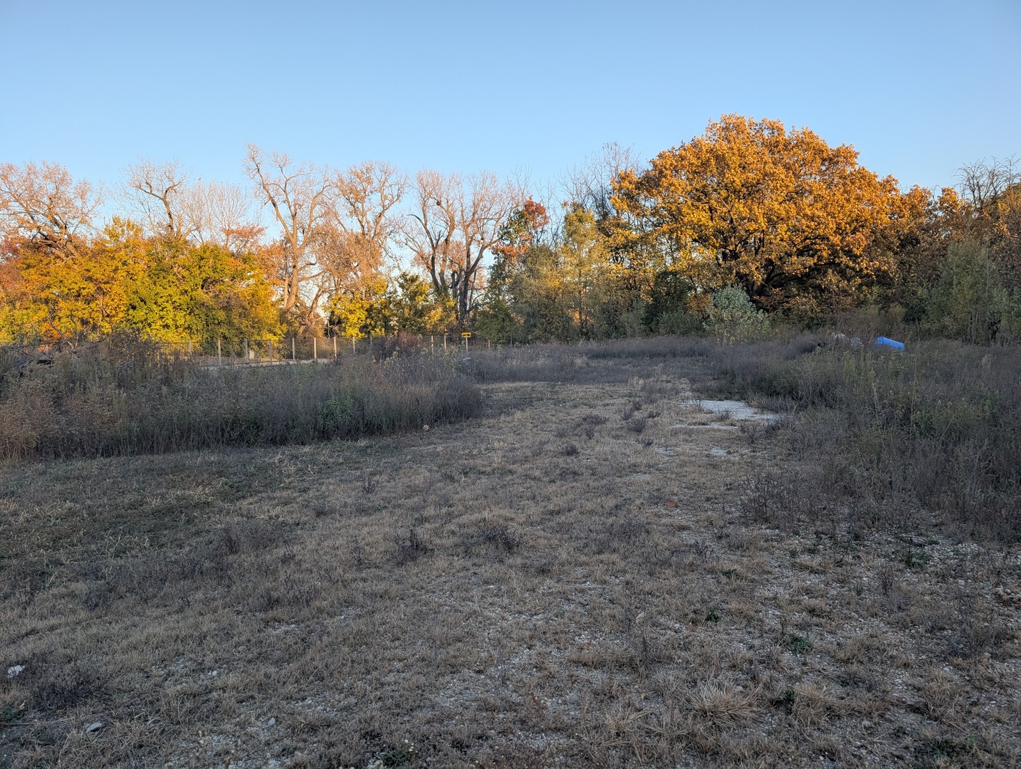 510 N Grove Street Property Photo 7