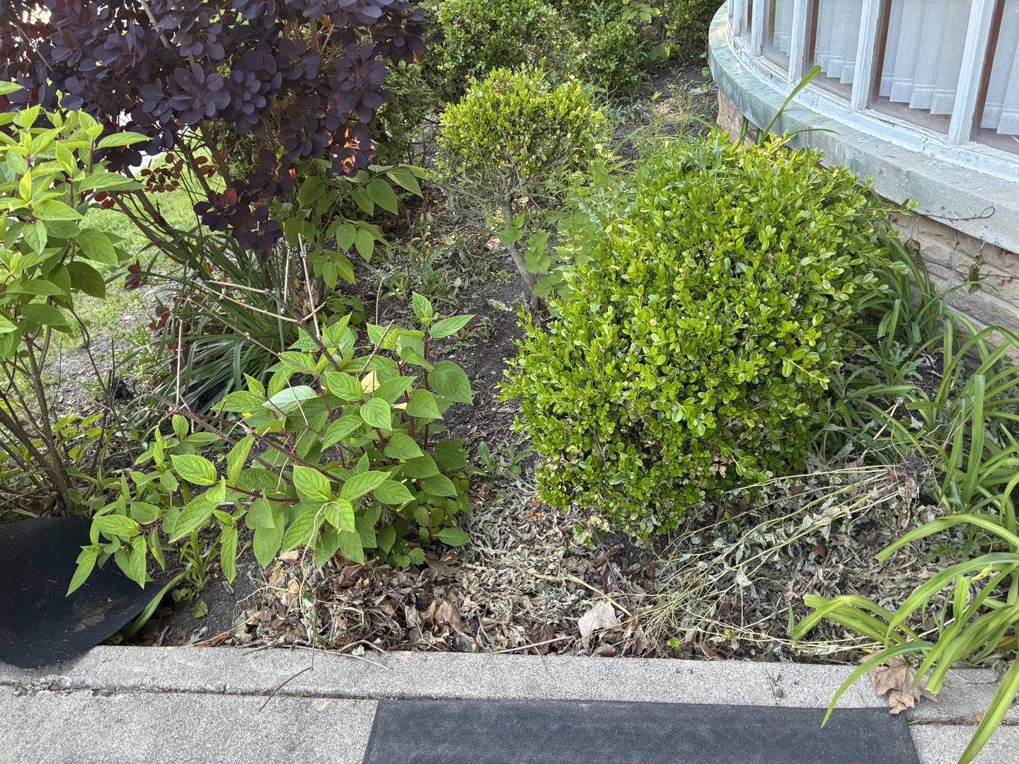 1402 Lathrop Avenue Property Photo 48