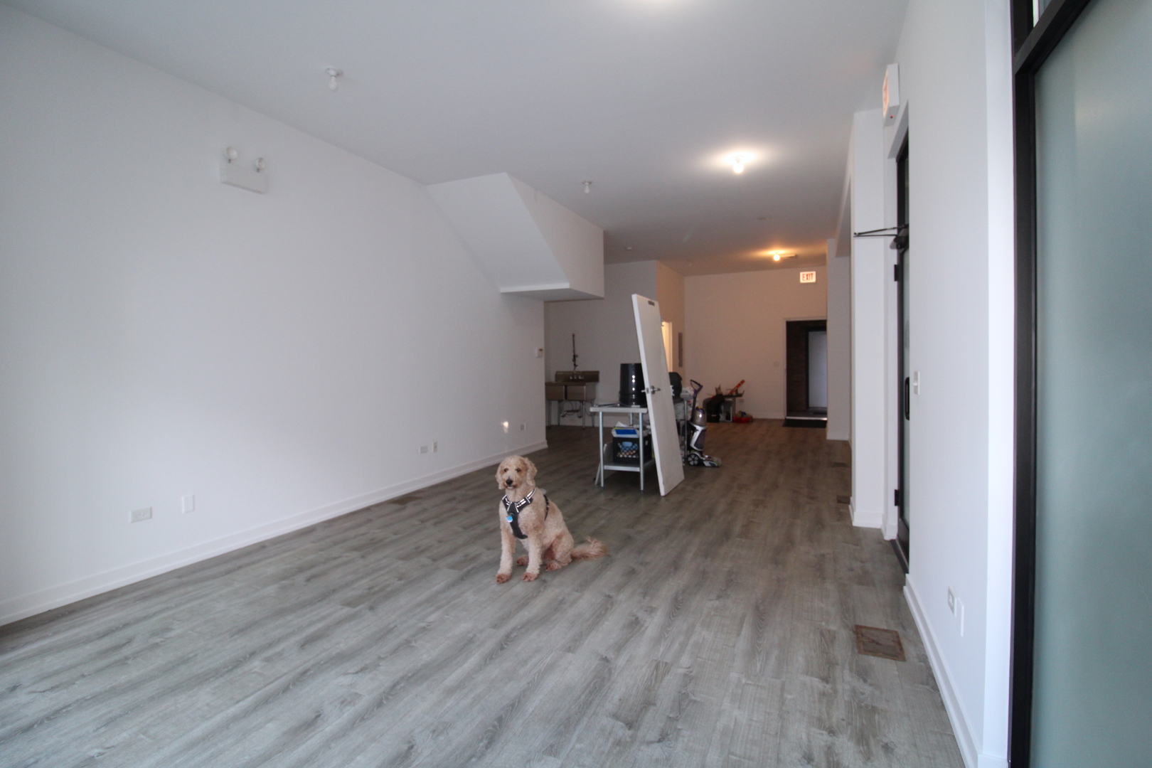 935 N Ashland Avenue 1 Property Photo 6