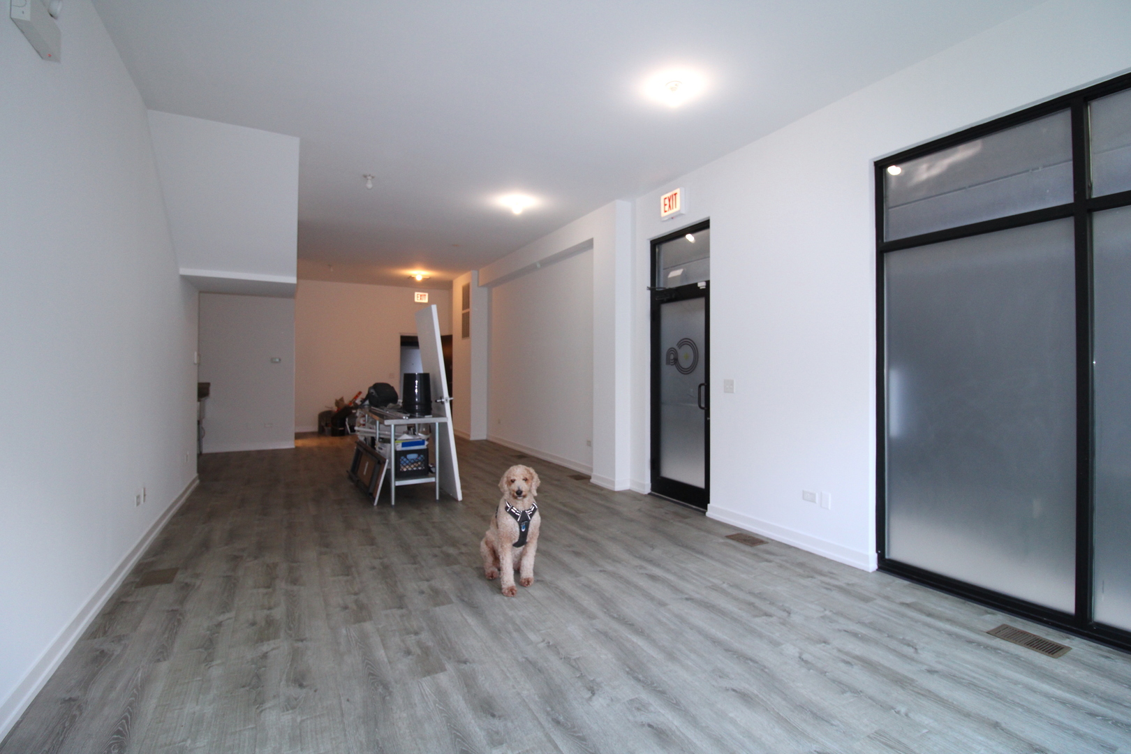 935 N Ashland Avenue 1 Property Photo 7