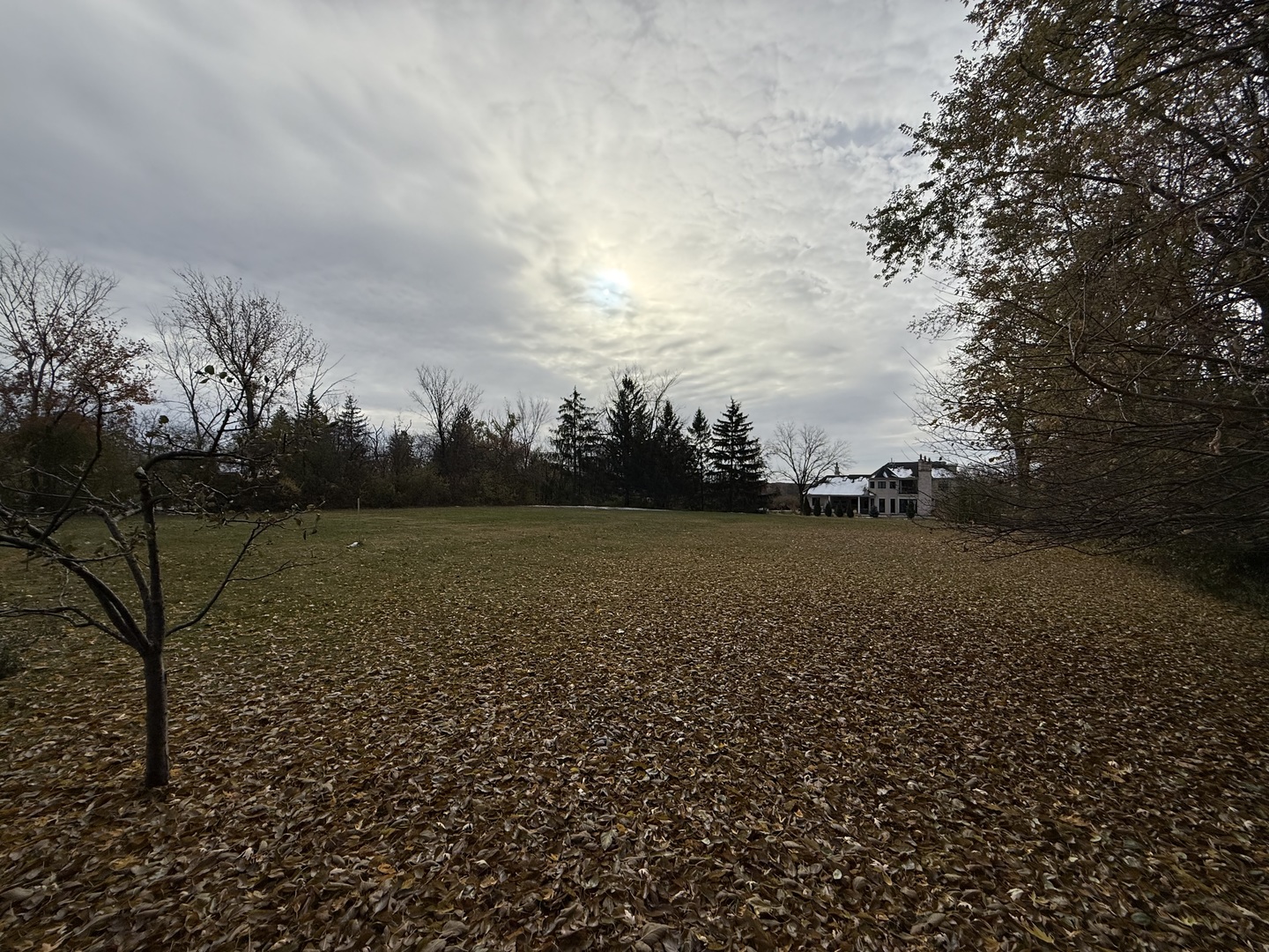12915 Archer Avenue Property Photo 4