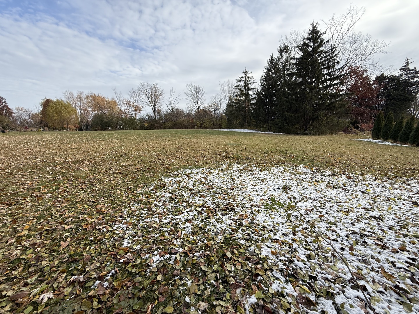 12915 Archer Avenue Property Photo 5