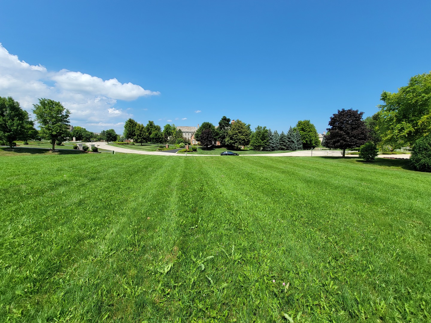 12515283 Property Photo 3