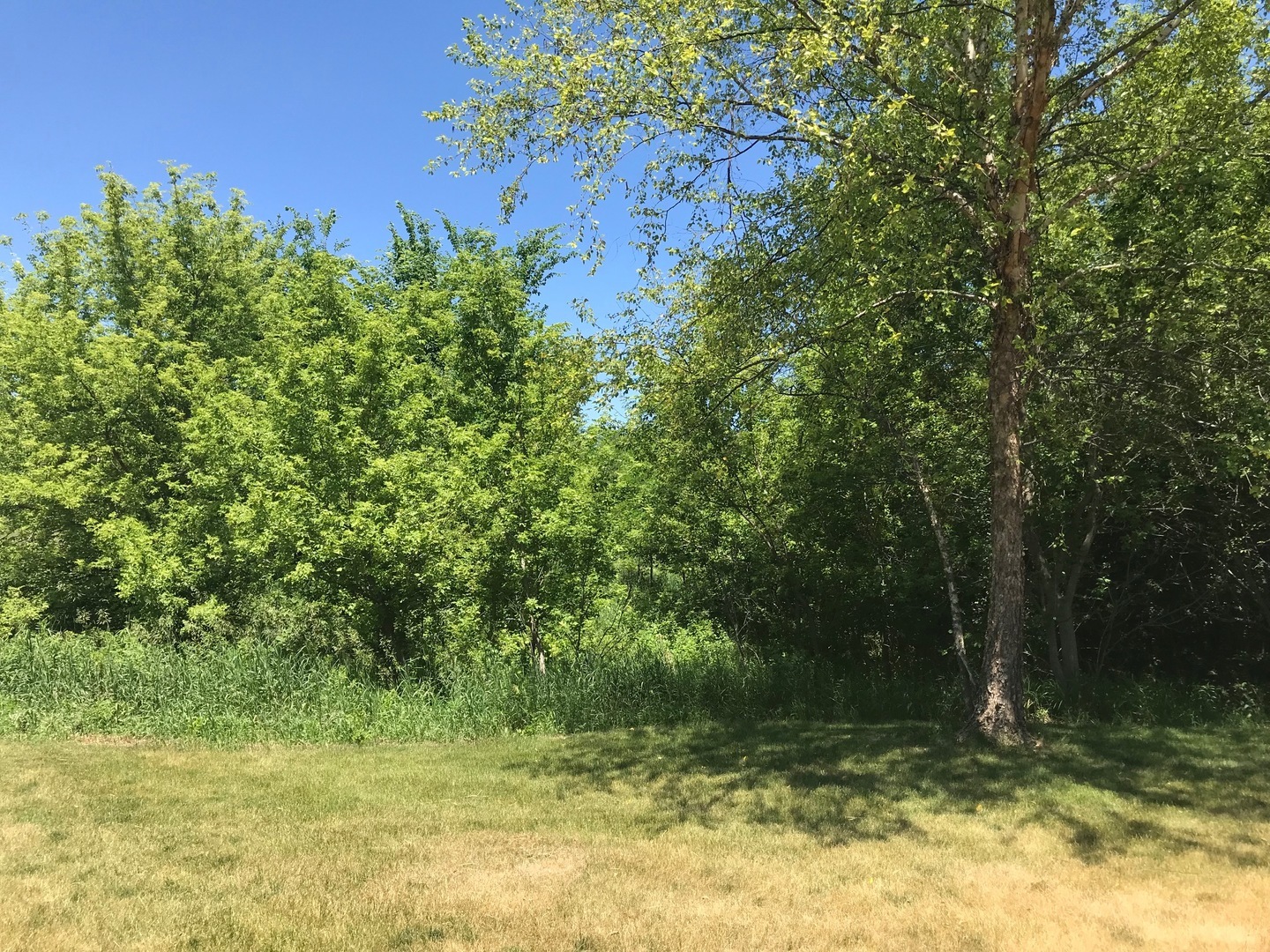 600 Berron Lane Property Photo 3