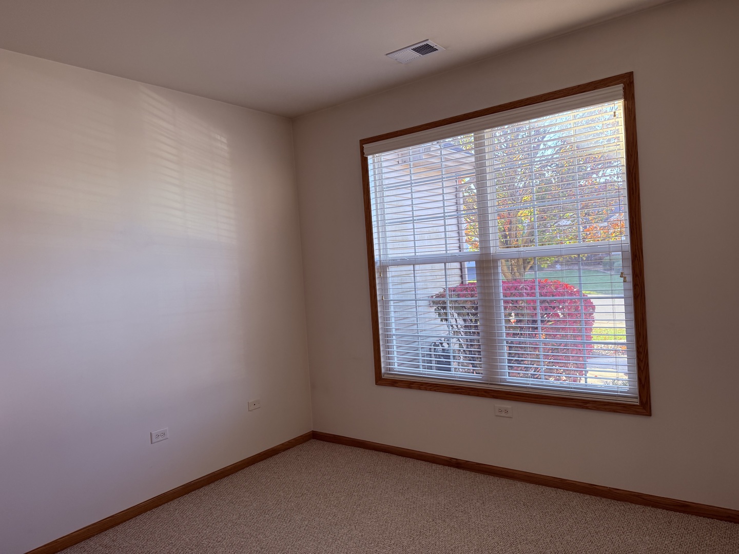 17009 Mendota Drive 17009 Property Photo 11