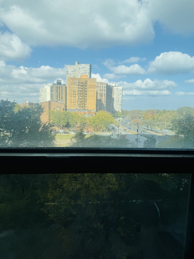 3600 N Lake Shore Drive 518 Property Photo 6