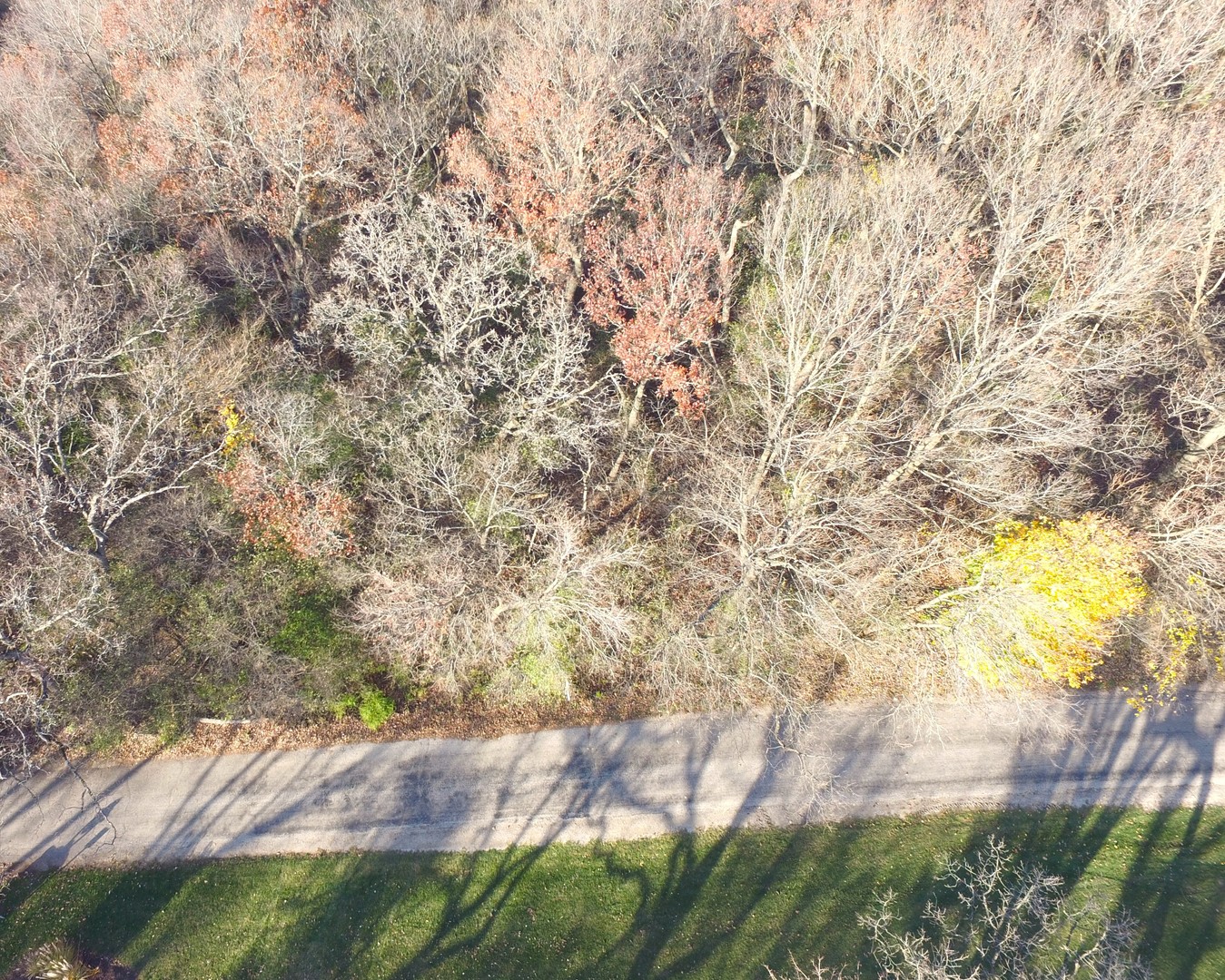373 N Bateman Circle Property Photo 5