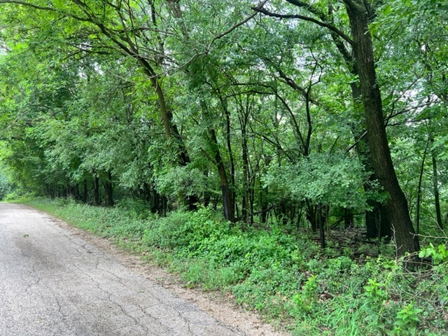 373 N Bateman Circle Property Photo 7
