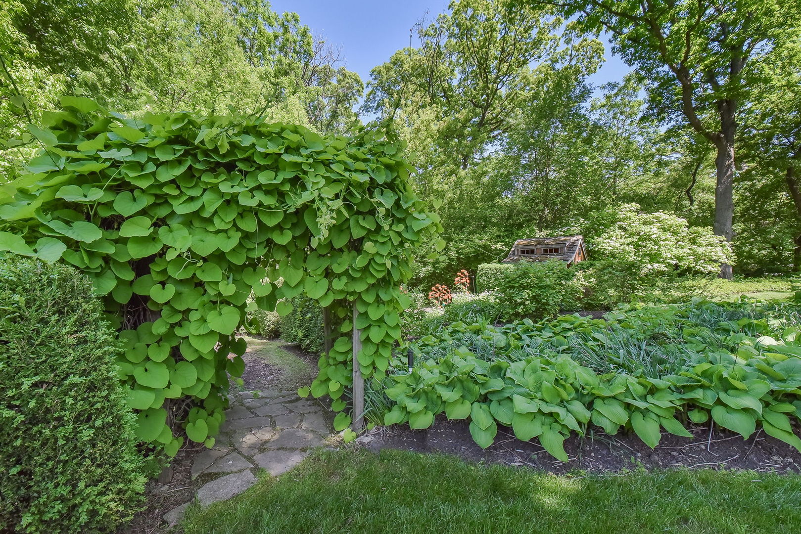12520644 Property Photo 18