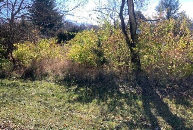 602 Cottonwood Court Property Photo 2