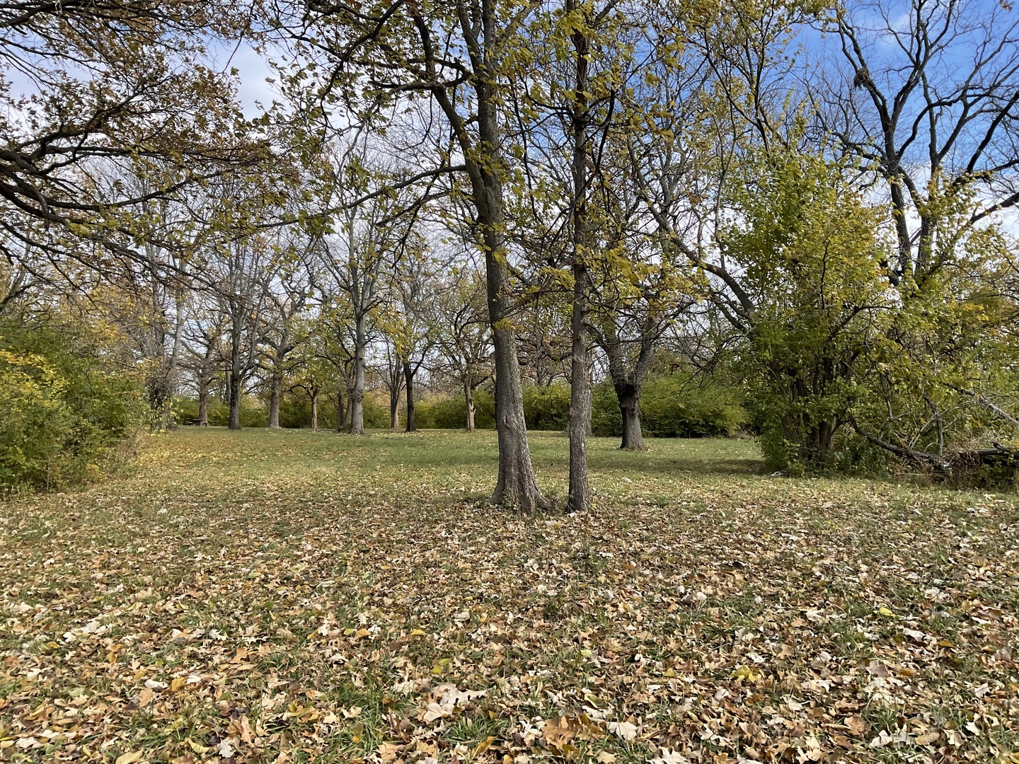 6010-6060 E. Minooka Road Property Photo 19