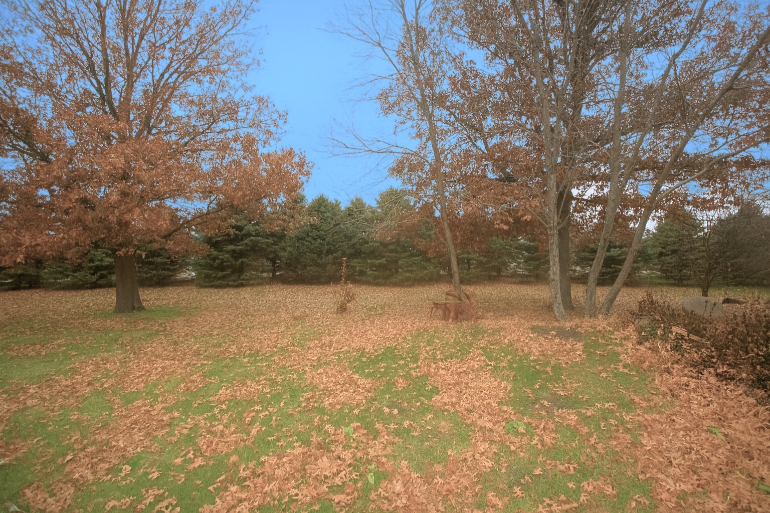 1245 Il Rt 26 Property Photo 40