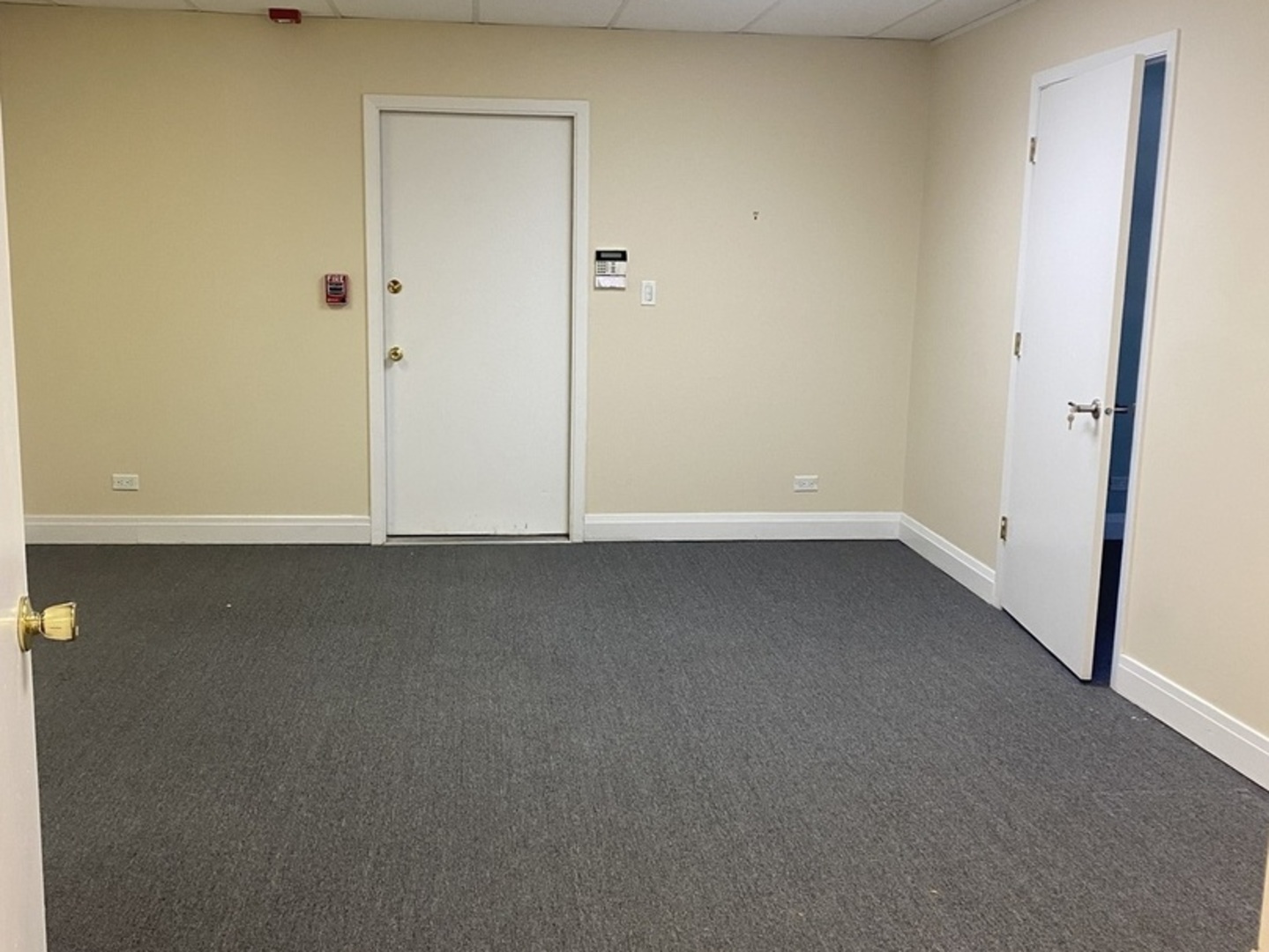 12524310 Property Photo 5