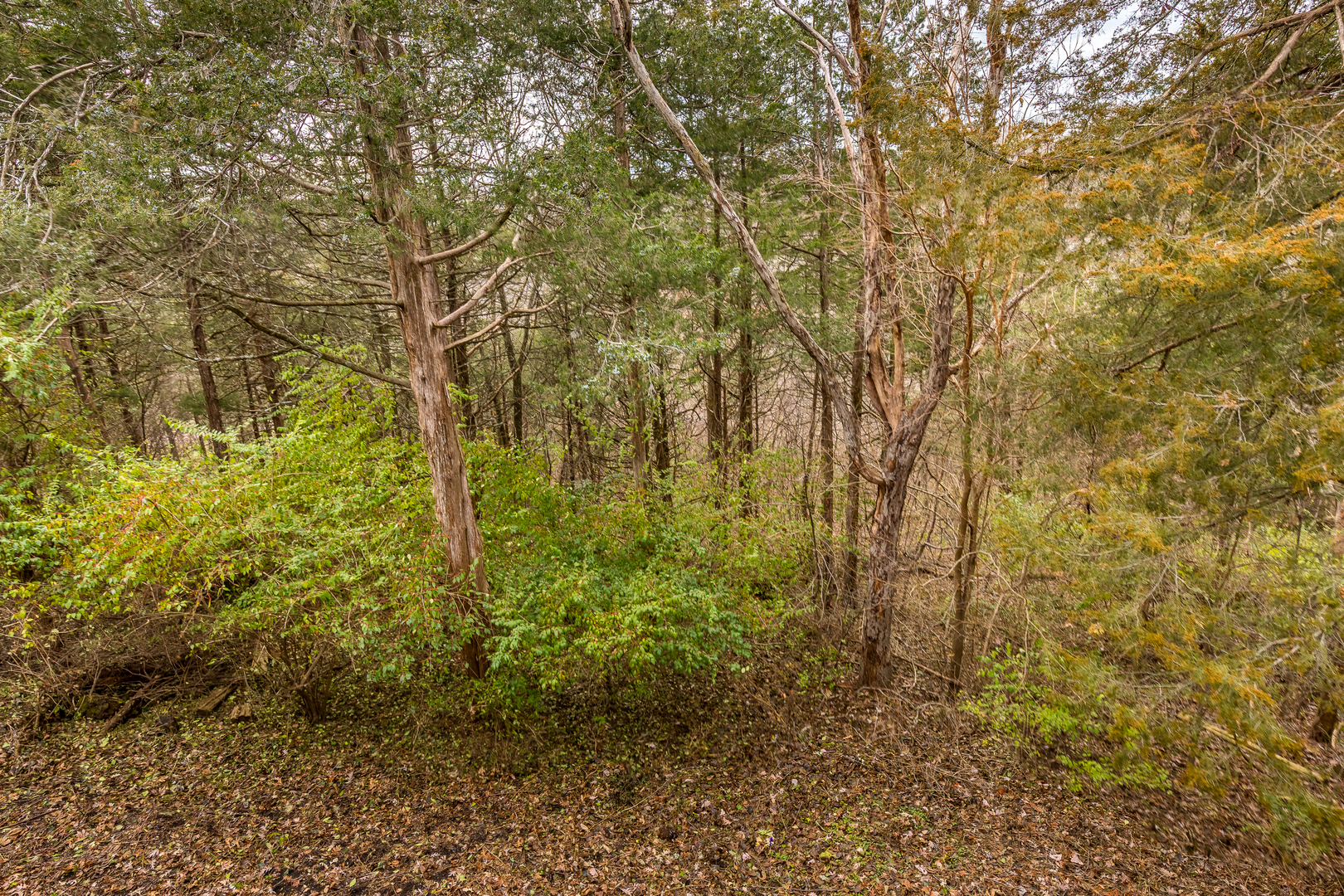 15 Talisman Property Photo 63