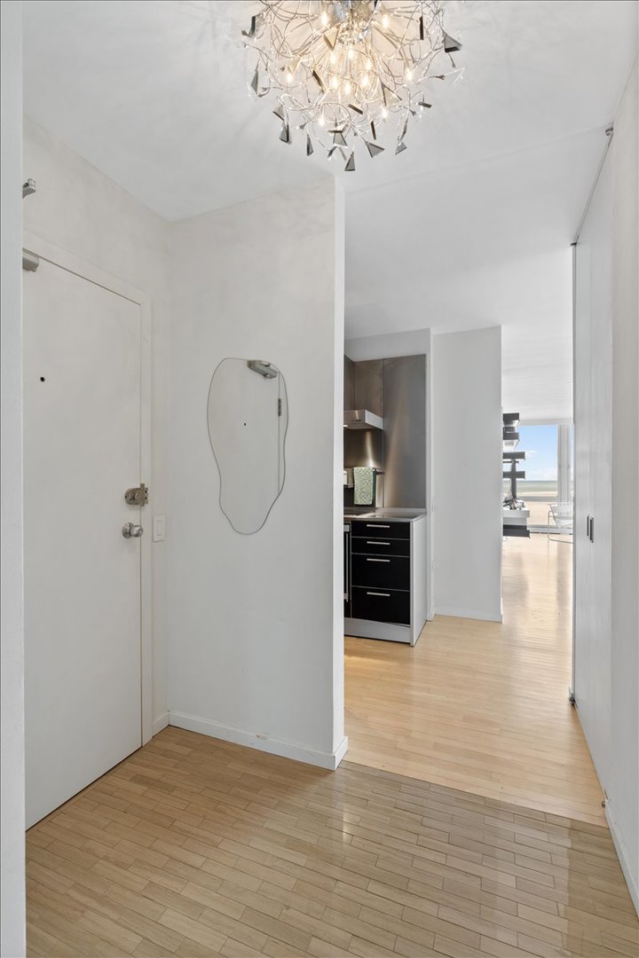 880 N Lake Shore Drive 16dh Property Photo 3