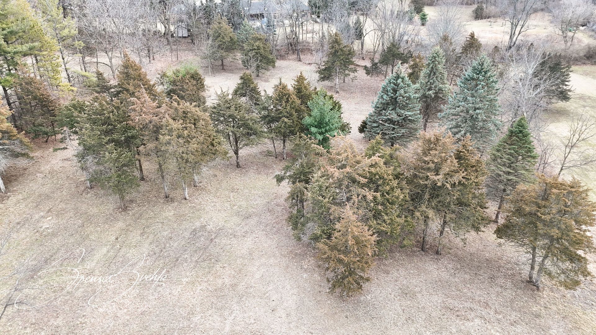 Lot 23 Sudburg Court Property Photo 3