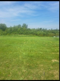 6704 Bridle Path Drive Property Photo 9