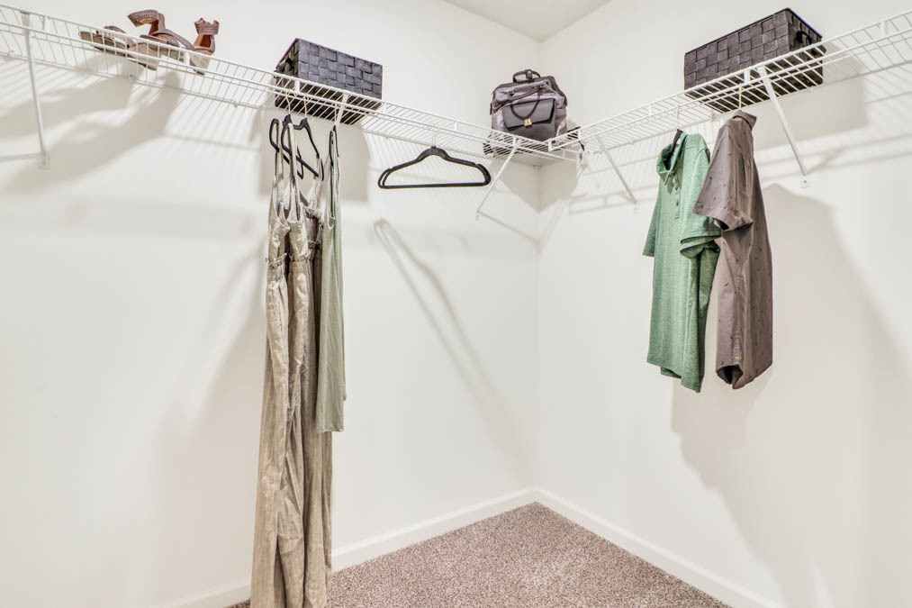 12536077 Property Photo 23