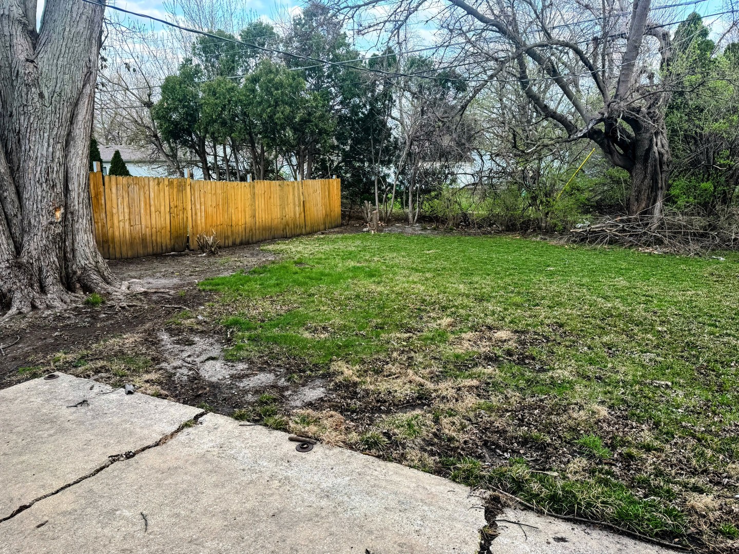 2612 W Kirby Avenue Property Photo 13