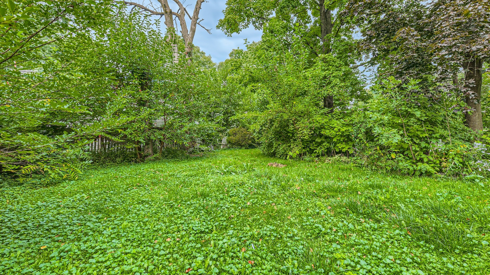 26616 S Egyptian Trail Property Photo 16