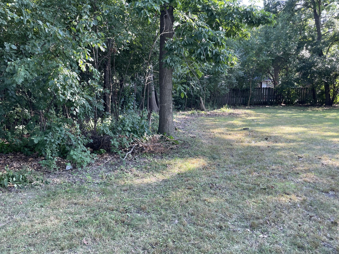 12330 S Ridgeland Avenue Property Photo 3
