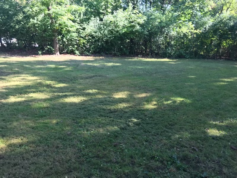 12330 S Ridgeland Avenue Property Photo 6