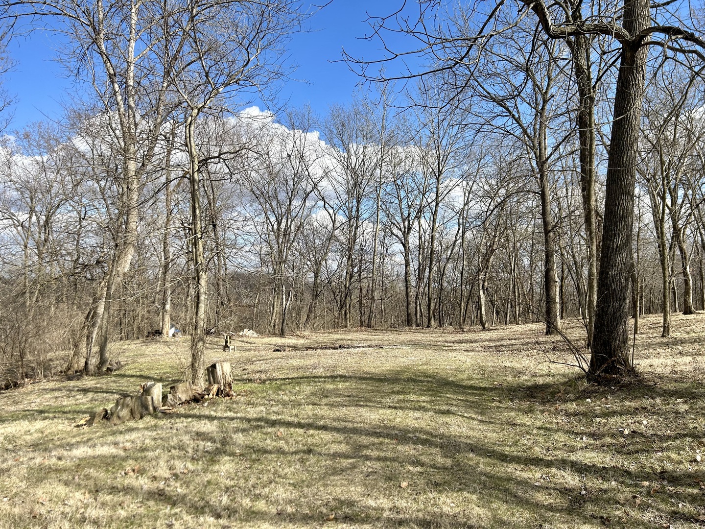 Lot 5 Thirty Foot Trail Road Property Photo 2