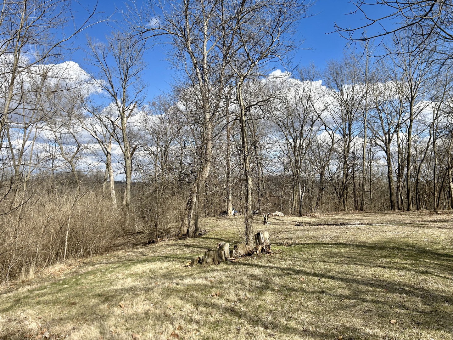 Lot 5 Thirty Foot Trail Road Property Photo 3