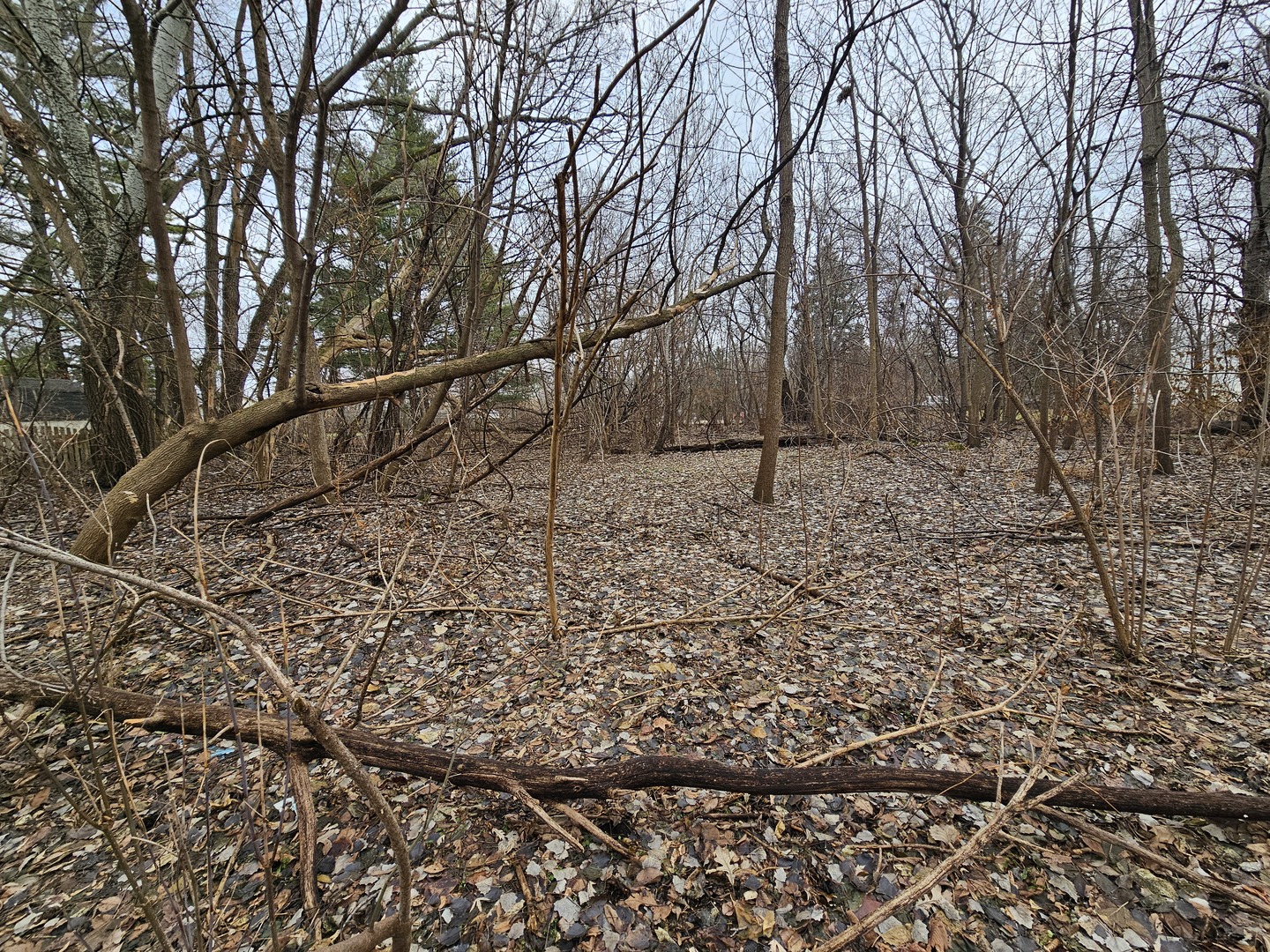 000 Averill Circle Property Photo 4