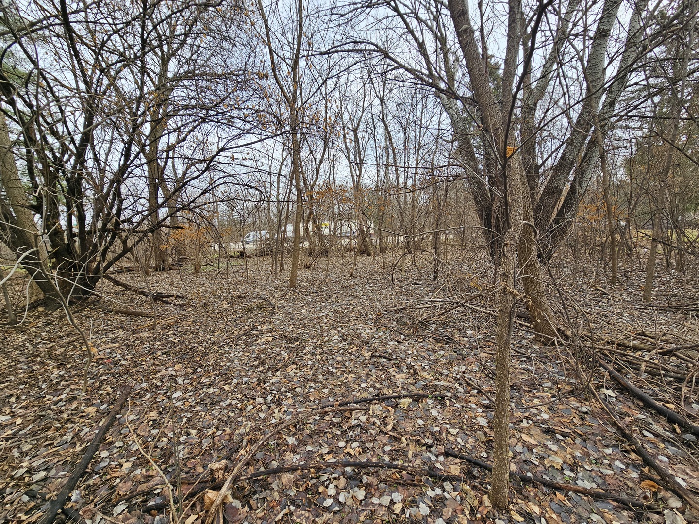 000 Averill Circle Property Photo 5