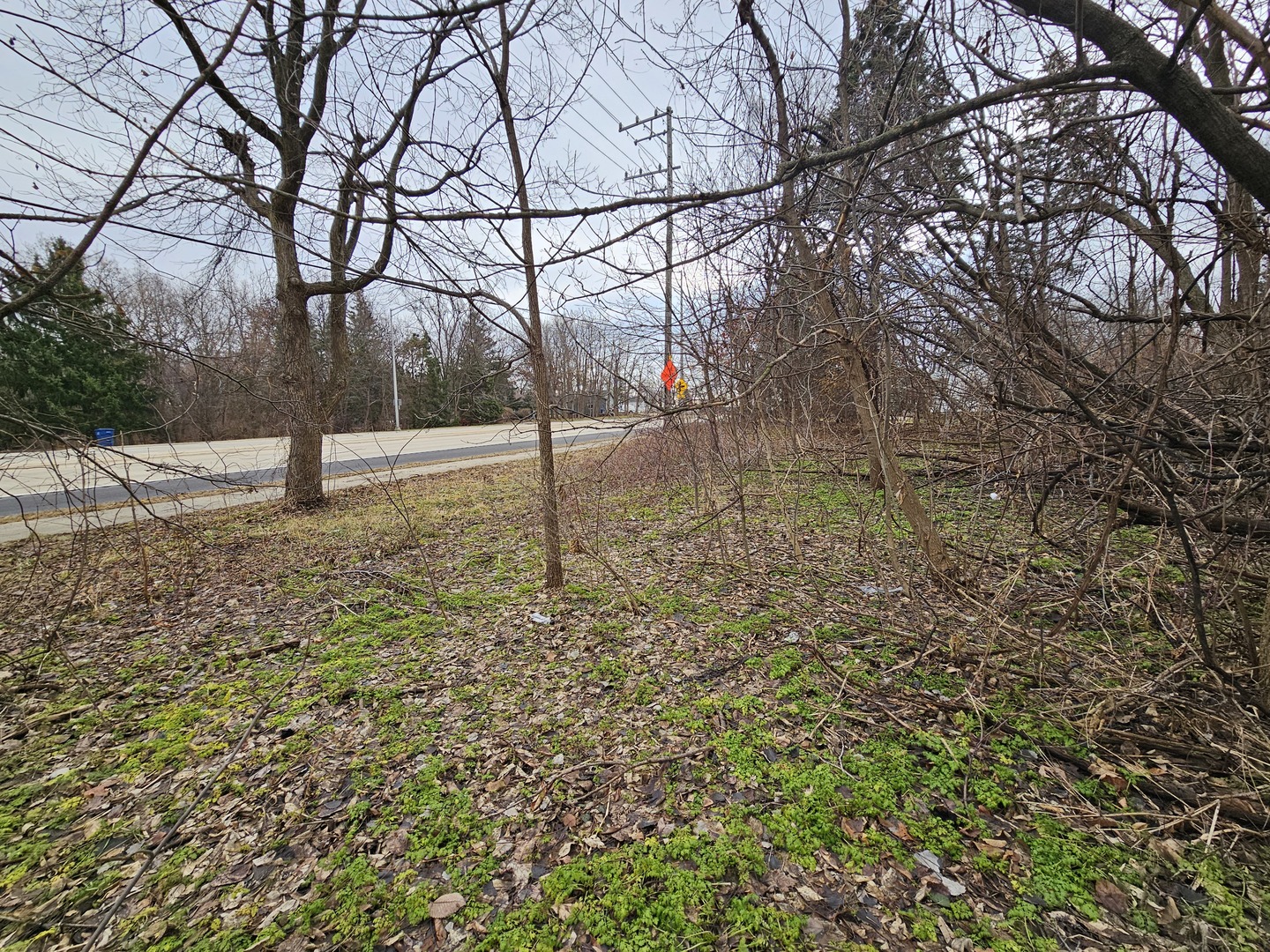 000 Averill Circle Property Photo 6