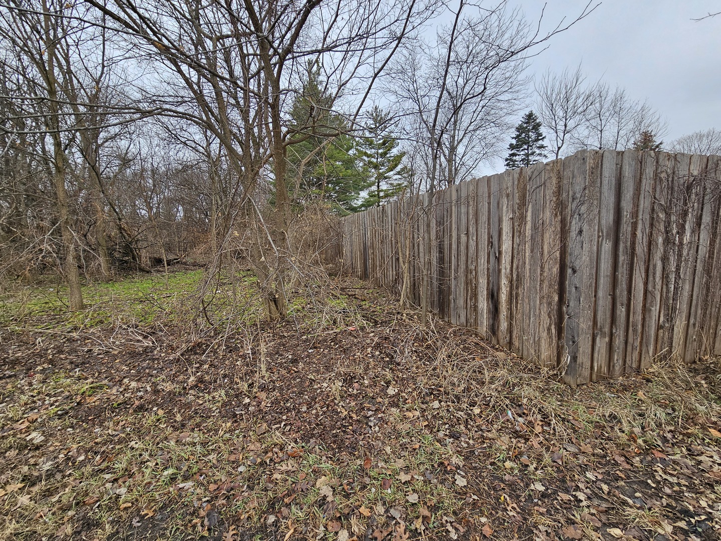 000 Averill Circle Property Photo 9