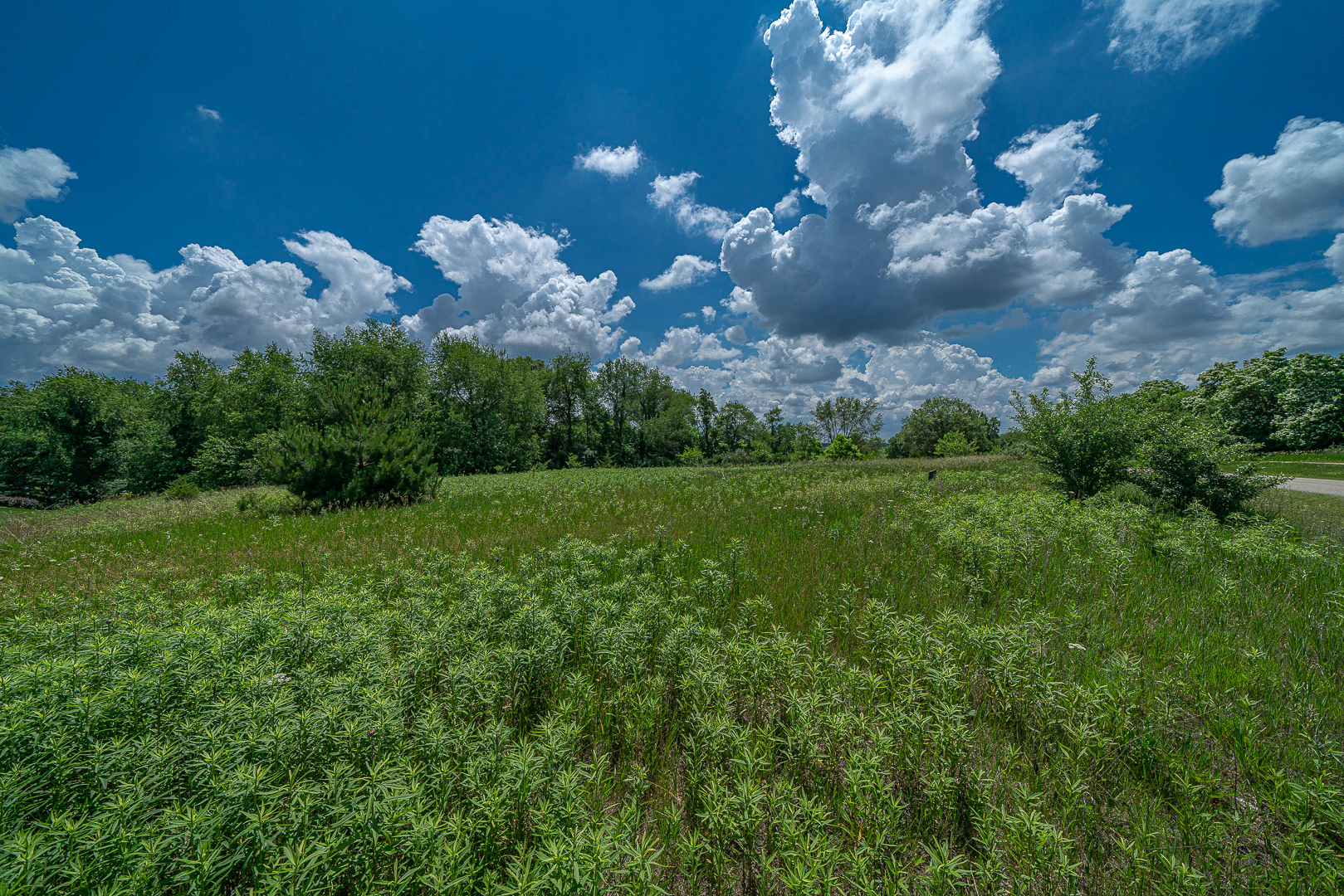 000 Deer Valley Drive Property Photo 13