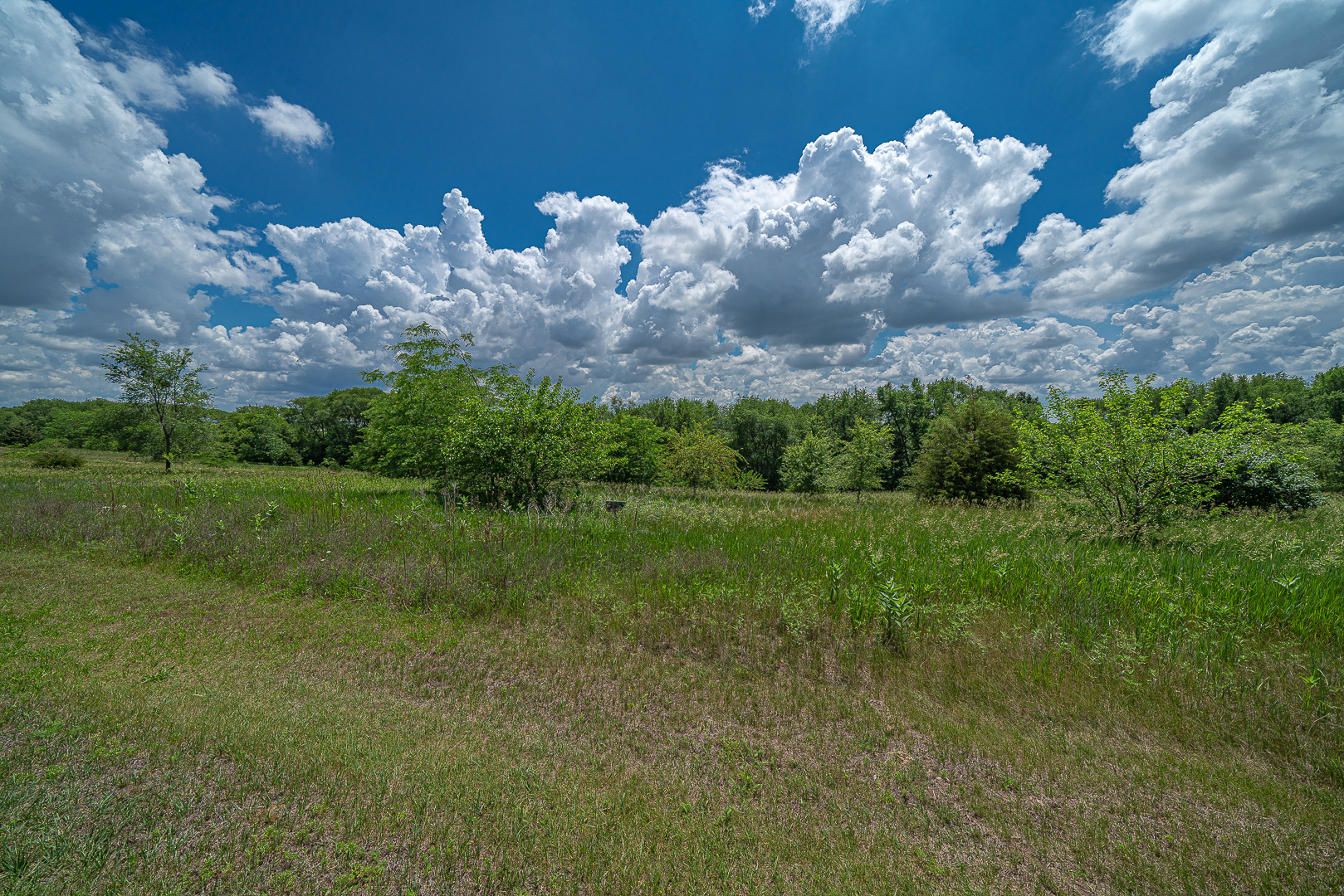 000 Deer Valley Drive Property Photo 14