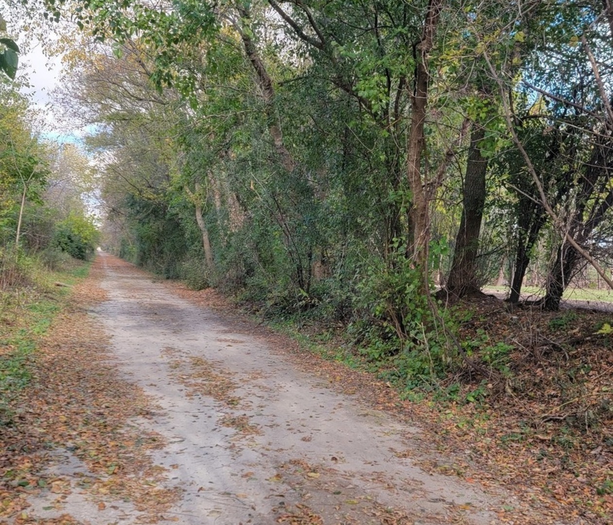 8621 Us Highway 12 Highway Property Photo 26