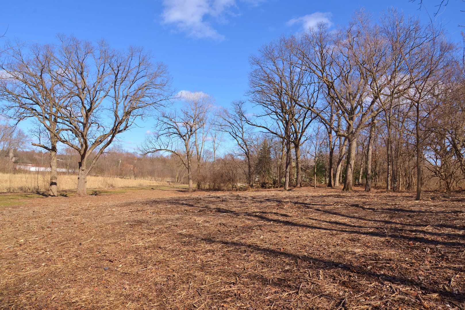 840 Arbor Avenue Property Photo 8